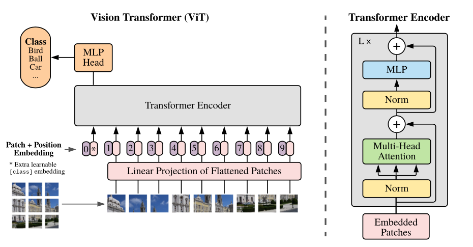 手撕 Vision Transformer